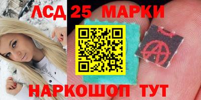 шишки Донской